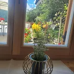 Posta Apartment